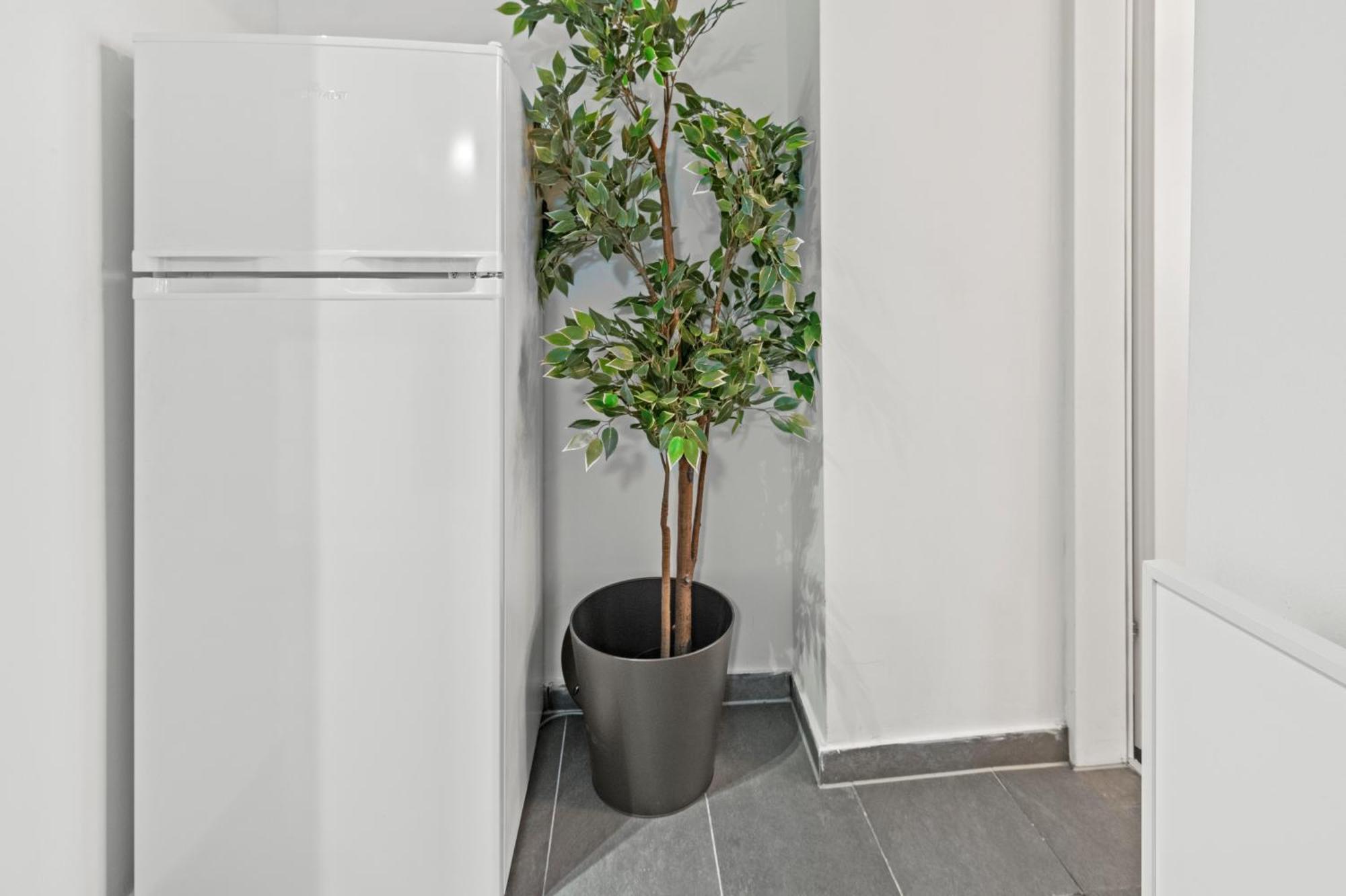 וינה Designer Apartment, Central, Next To Danube מראה חיצוני תמונה